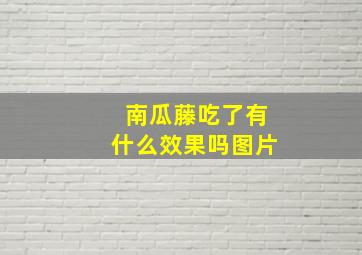 南瓜藤吃了有什么效果吗图片