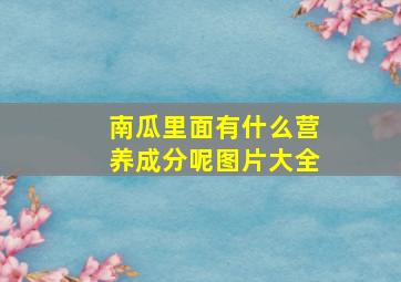 南瓜里面有什么营养成分呢图片大全