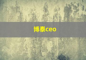 博泰ceo