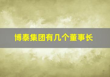 博泰集团有几个董事长