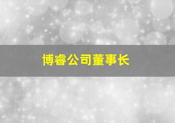 博睿公司董事长