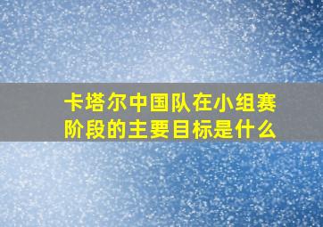 卡塔尔中国队在小组赛阶段的主要目标是什么