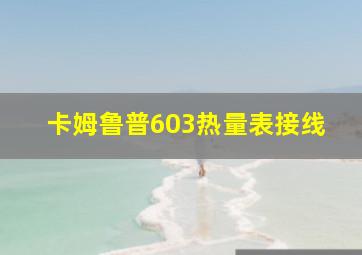 卡姆鲁普603热量表接线