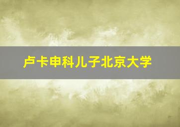 卢卡申科儿子北京大学