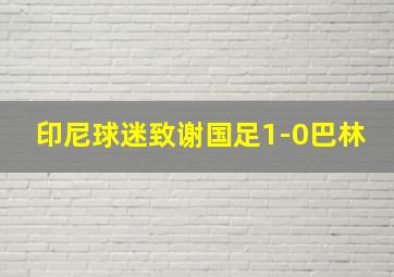 印尼球迷致谢国足1-0巴林