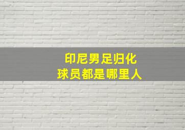 印尼男足归化球员都是哪里人