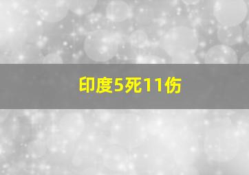 印度5死11伤