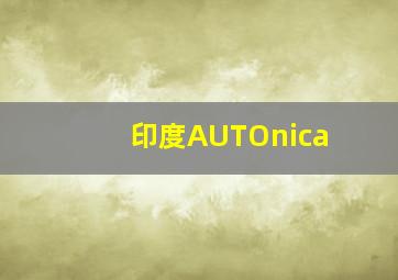 印度AUTOnica