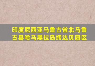 印度尼西亚马鲁古省北马鲁古县哈马黑拉岛纬达贝园区