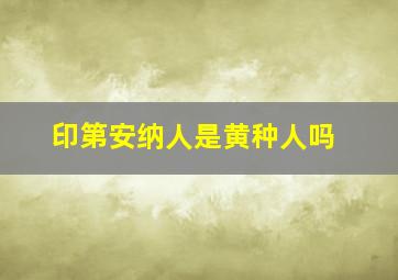 印第安纳人是黄种人吗