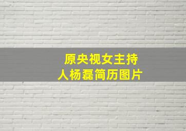 原央视女主持人杨磊简历图片