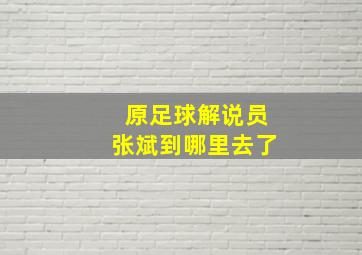 原足球解说员张斌到哪里去了