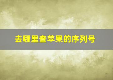 去哪里查苹果的序列号