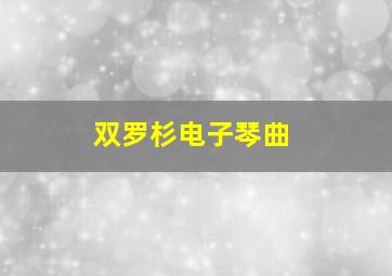 双罗杉电子琴曲