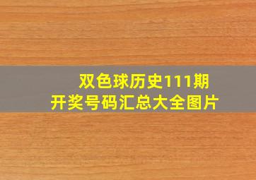 双色球历史111期开奖号码汇总大全图片