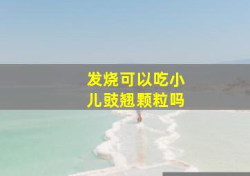 发烧可以吃小儿豉翘颗粒吗