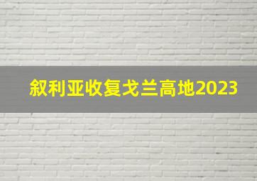 叙利亚收复戈兰高地2023