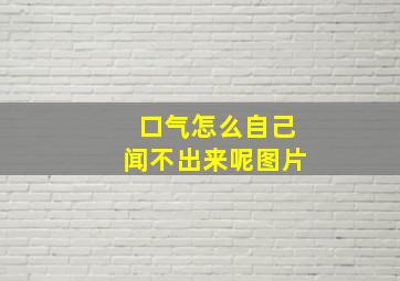 口气怎么自己闻不出来呢图片