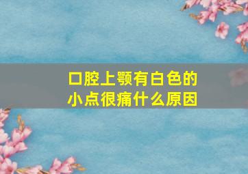 口腔上颚有白色的小点很痛什么原因