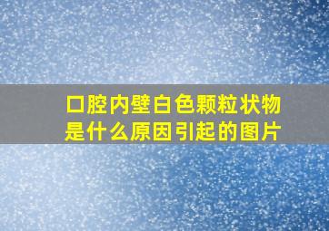 口腔内壁白色颗粒状物是什么原因引起的图片