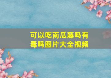 可以吃南瓜藤吗有毒吗图片大全视频