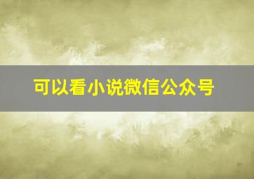 可以看小说微信公众号