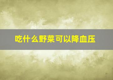 吃什么野菜可以降血压