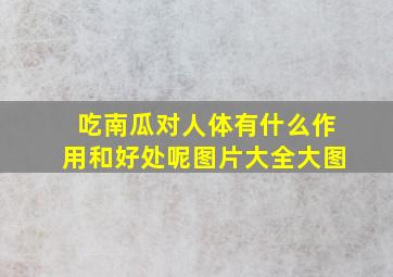 吃南瓜对人体有什么作用和好处呢图片大全大图