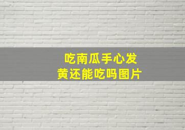 吃南瓜手心发黄还能吃吗图片