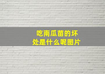 吃南瓜苗的坏处是什么呢图片