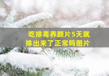 吃排毒养颜片5天就排出来了正常吗图片