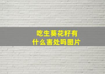 吃生葵花籽有什么害处吗图片