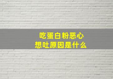 吃蛋白粉恶心想吐原因是什么