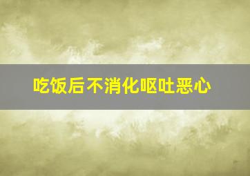 吃饭后不消化呕吐恶心