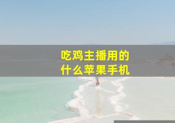 吃鸡主播用的什么苹果手机