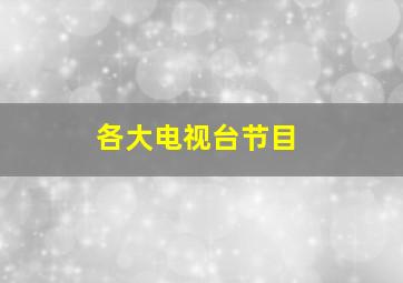 各大电视台节目