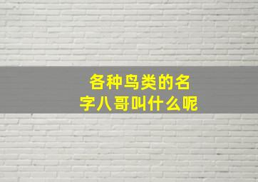 各种鸟类的名字八哥叫什么呢