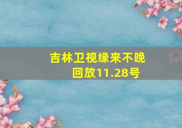 吉林卫视缘来不晚回放11.28号