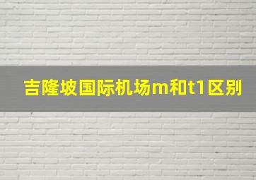 吉隆坡国际机场m和t1区别