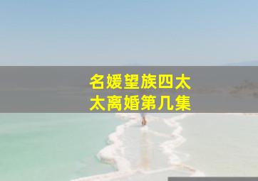 名媛望族四太太离婚第几集