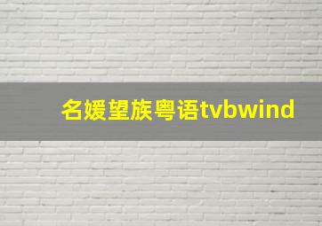 名媛望族粤语tvbwind