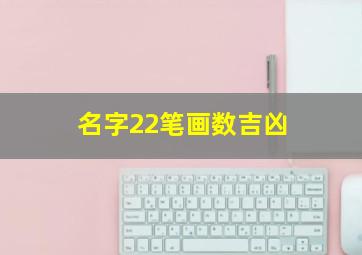 名字22笔画数吉凶