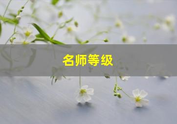 名师等级