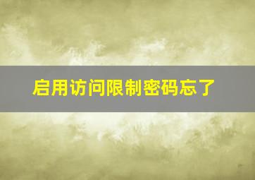 启用访问限制密码忘了