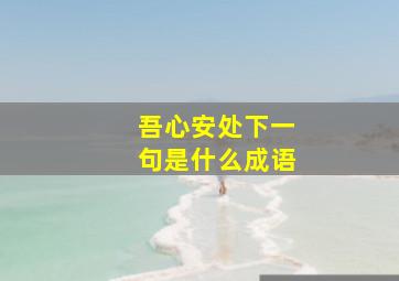 吾心安处下一句是什么成语