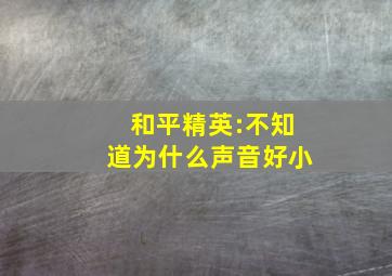 和平精英:不知道为什么声音好小