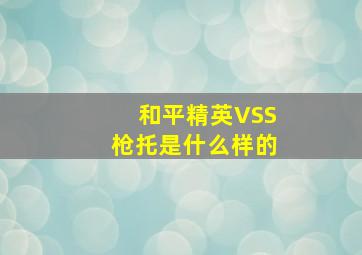 和平精英VSS枪托是什么样的