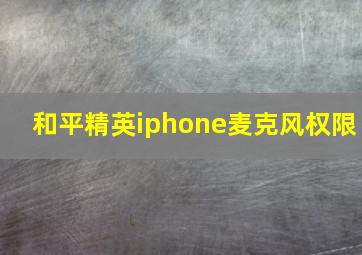 和平精英iphone麦克风权限