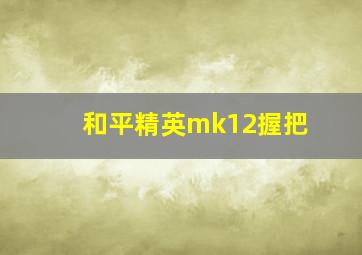 和平精英mk12握把