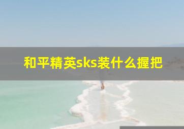 和平精英sks装什么握把